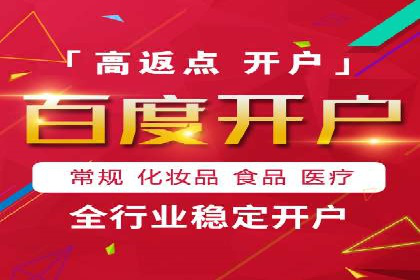 某电商平台的SEM推广实践与效果展示
